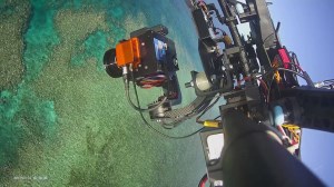 How AI and drones are helping to save the Great Barrier Reef article image
