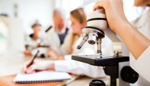 New program to steer high school students into STEM careers article image