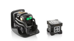 Meet Vector: the companion robot that wants to become part of your family article image