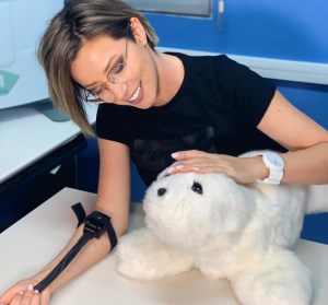 How cuddling a cute robotic baby seal can make life less painful article image