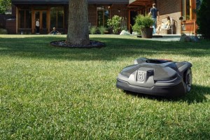 Rise of the Smart Garden article image